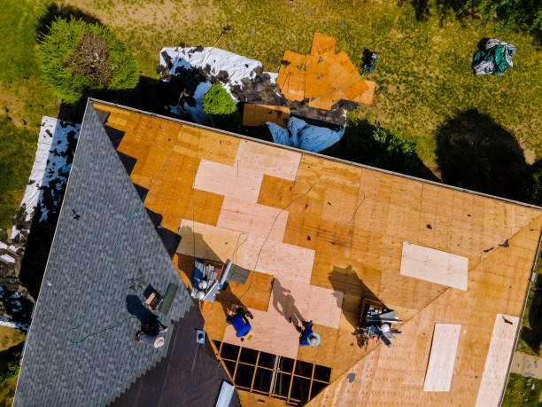 Best Flat Roof Repair Services  in Hawaiian Gardens, CA